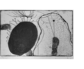 Die widerspenstige Hostie, Aquatintaradierung, 1967